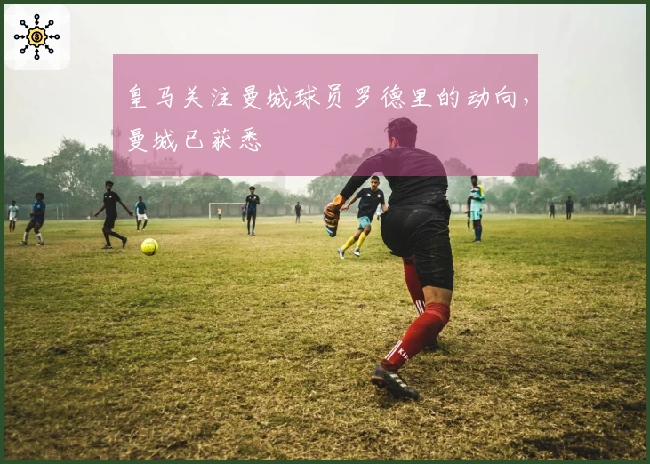 皇马关注曼城球员罗德里的动向，曼城已获悉