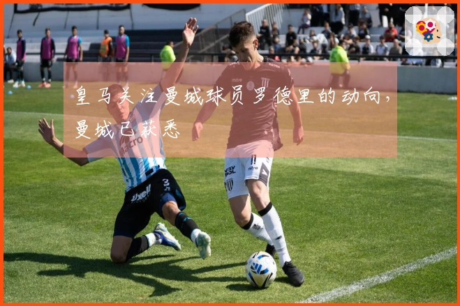 皇马关注曼城球员罗德里的动向，曼城已获悉